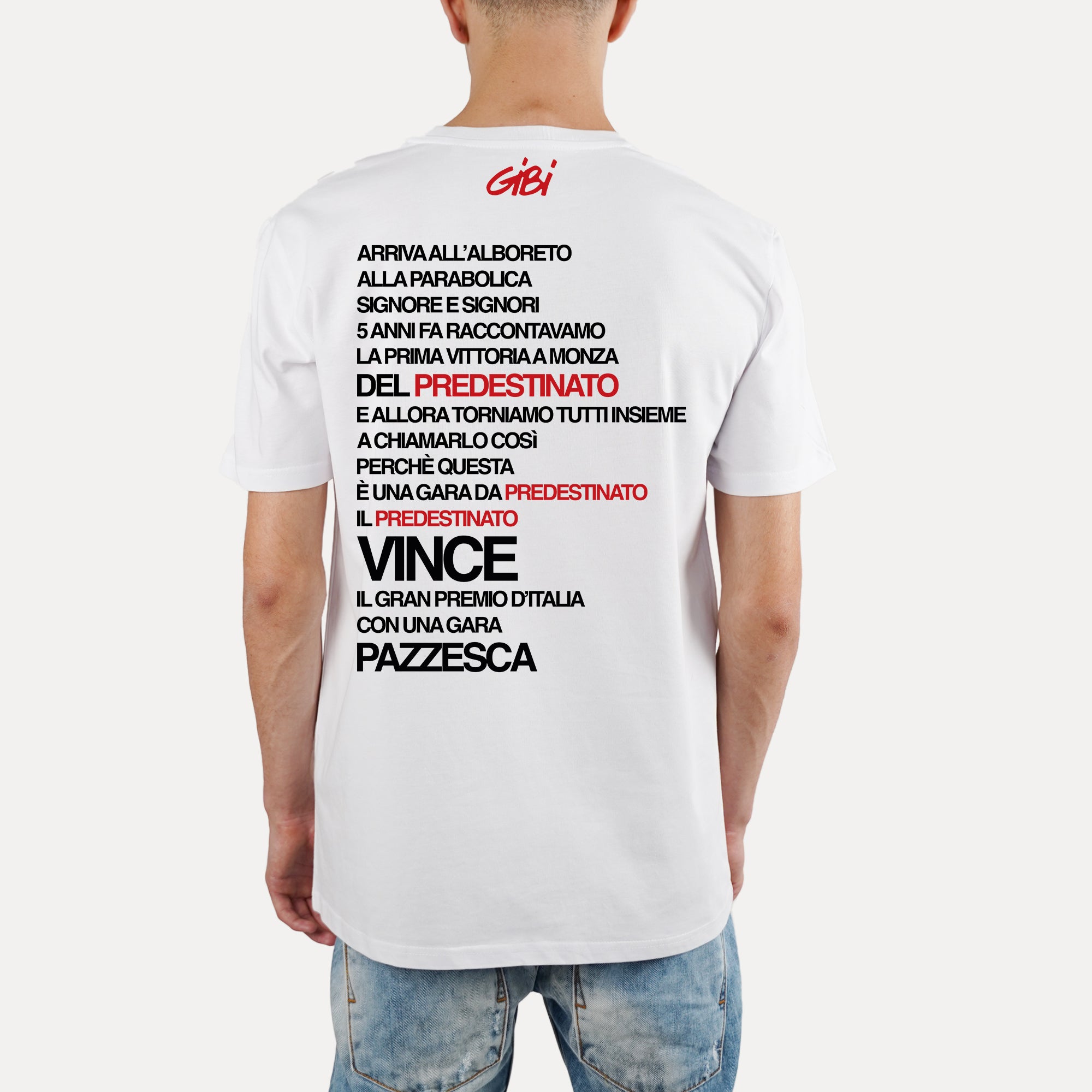 T-Shirt A PREDESTINED RACE