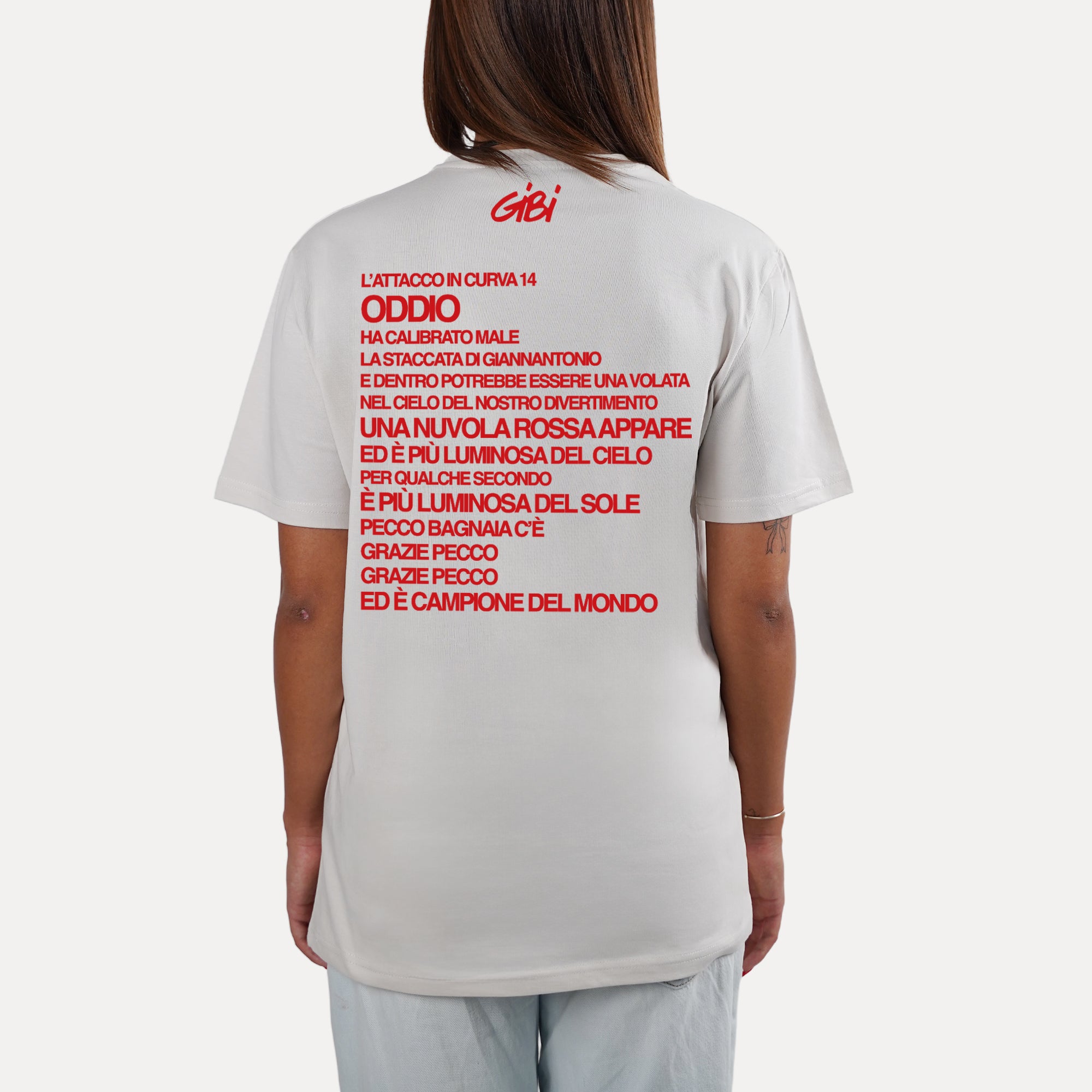 T-Shirt A RED CLOUD APPEARS