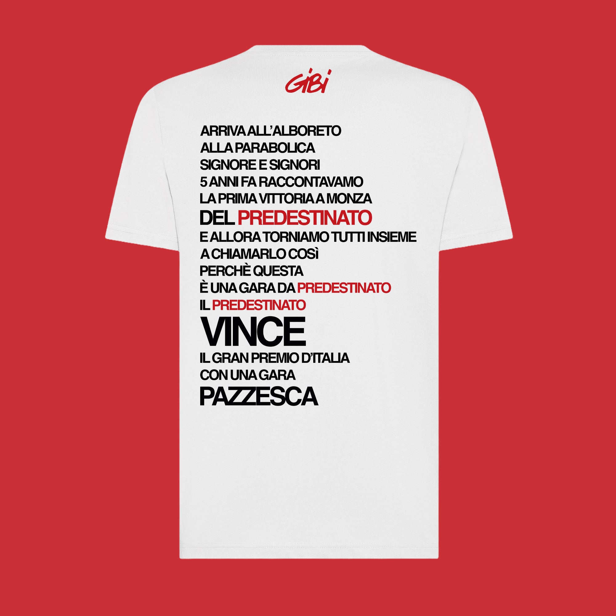 T-Shirt A PREDESTINED RACE